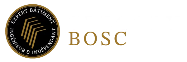 logo expert avec texte ss fond